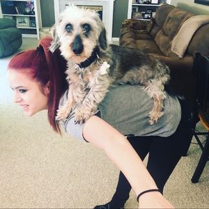 Meet your Posher, Bella